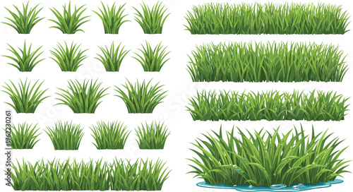 Lush Green Grass Vector Set with Lawn Patches, Decorative Tufts, Wetland Plants and Natural Landscape Elements Illustration