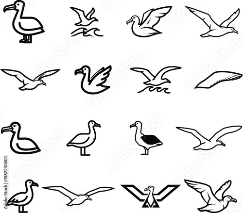 black and white illustration of various seagull poses