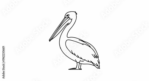 A simple black and white line drawing of a pelican standing