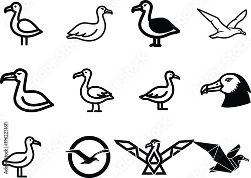 Seagull silhouettes and illustrations in various poses and styles  birds