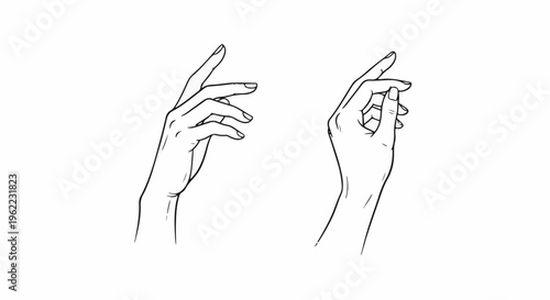 A line art drawing of two delicate hands reaching outwards with elegant gestures