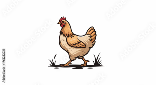 A light brown chicken walks across a white background with grass