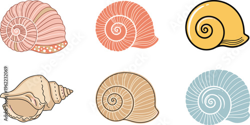 Hand-Drawn Seashells in Various Shapes and Colors for Coastal, Beach, and Nautical Design Projects