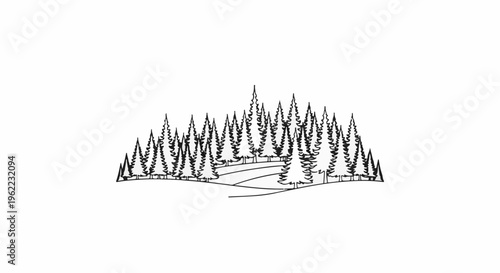 A stylized black and white illustration of a dense pine forest on rolling hills
