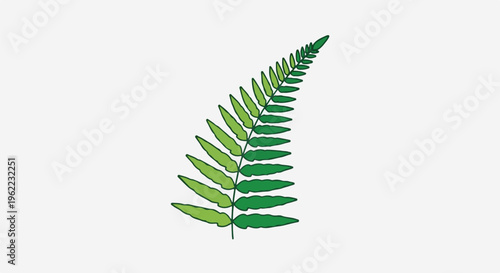 A single, stylized green fern frond against a pale background