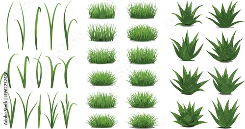 Grass and Succulent Plants Vector Set with Lawn Tufts, Aloe Leaves and Decorative Garden Vegetation Illustration Collection