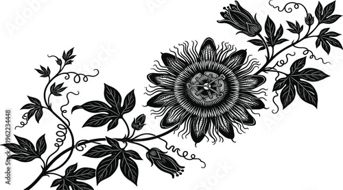 Intricate Black and White Passion Flower Vine Illustration