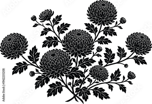 Elegant black and white chrysanthemum floral bouquet illustration, embodying traditional beauty and sophisticated botanical artistry for decorative designs and serene motifs
