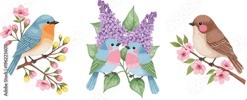 Hand-Drawn Birds Perched on Branches with Floral Accents for Spring, Nature, and Cute Animal Illustration Projects