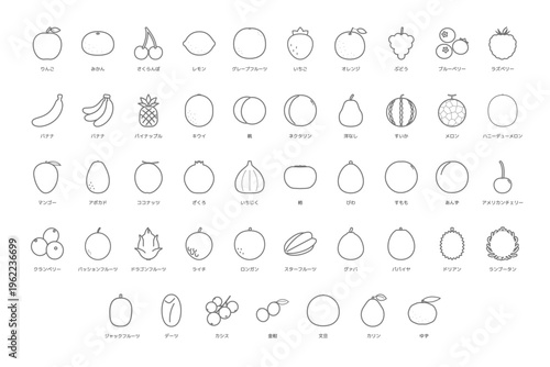 果物名入り線画フルーツアイコンセット 47種 食育向けアウトラインイラスト