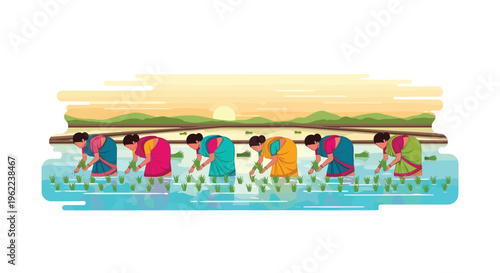 Seven women in traditional attire are actively planting rice seedlings in a flooded paddy field during sunset.
