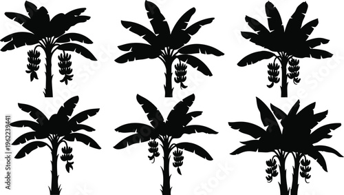 Set of banana tree silhouettes with fruit bunches tropical plant collection black vector illustration isolated on white background