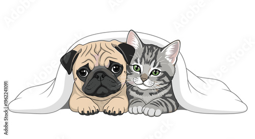 A fawn pug puppy and a grey tabby kitten are snuggled together under a white blanket, looking directly forward on a plain white background.
