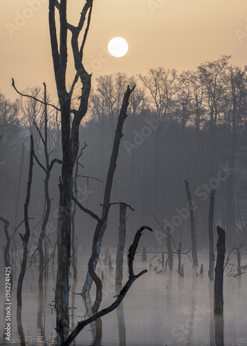 Mystic lake, Bottrop, North Rhine Westphalia, Germany