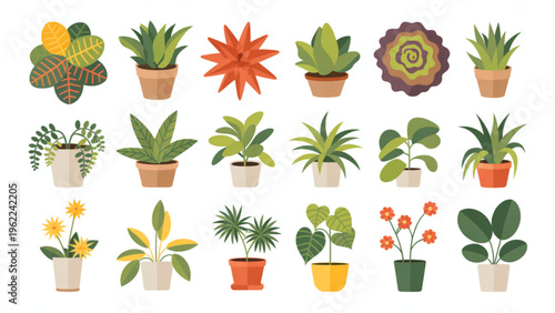 Collection of various indoor house plants in ceramic pots depicted in a flat vector art style Vector
