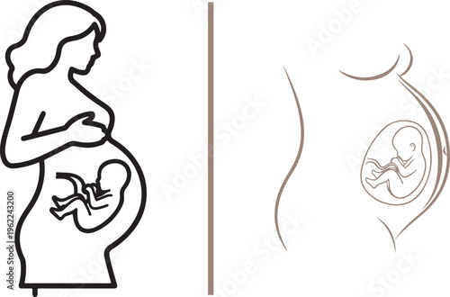 Minimalist vector line art of a pregnant woman showing a fetus in the womb. Illustrates prenatal development, gestation, and motherhood through simple black and brown contours.