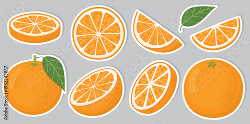 Set of stickers with oranges isolated on gray. Illustration of bright whole citrus fruits, halves and slices