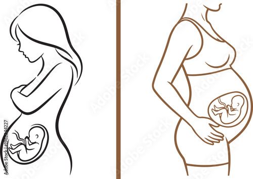 Minimalist line art illustration featuring silhouettes of a pregnant woman with a visible fetus inside the womb. Clean anatomical vector showing the prenatal stage and motherhood.