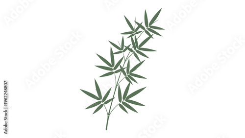 Minimalist green bamboo stem with pointed leaves in a simple and clean oriental-inspired vector illustration for zen art.