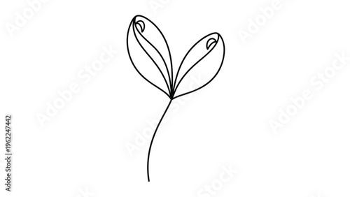 Minimalist single line drawing of a small plant sprout with two leaves representing growth and fresh new beginnings.