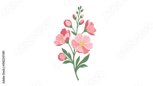 Delicate illustration of pink flowers and buds on a green leafy stem in a simple and clean artistic style for cards.