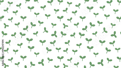 seeds sprouting green leaves on white background