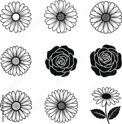 Black and white floral daisy and rose silhouettes flower