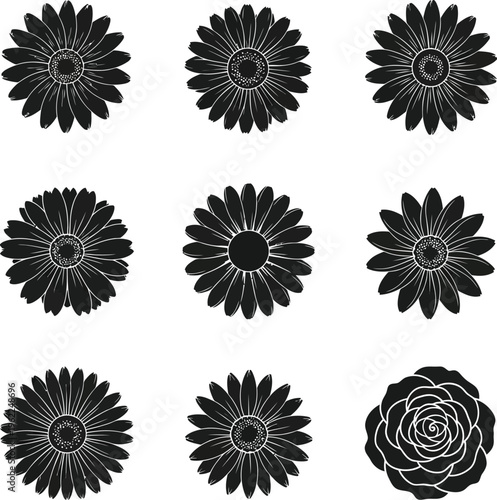 Black silhouette flower gerbera rose daisy collection white