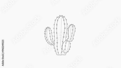 Minimalist cactus line art illustration on a white background.