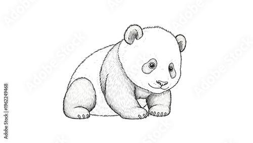 Cute panda bear cub sketch