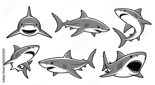 Great White Shark Vector Cartoon Mascot Set Isolated on White Background with Various Poses and Angry Expression