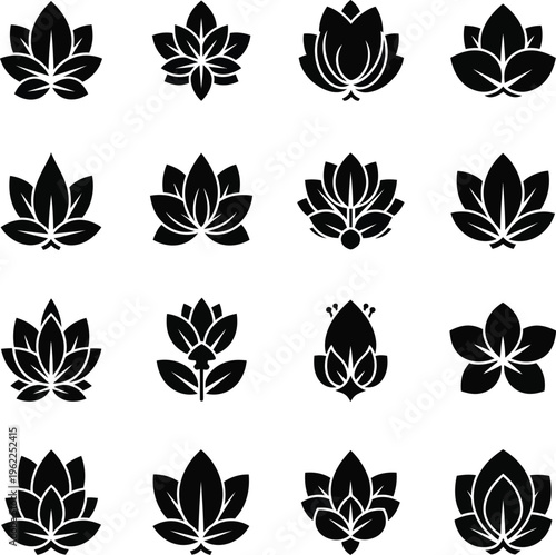 Collection of sixteen black lotus flower and leaf on white background lotus flower leaf floral botanical nature black and white