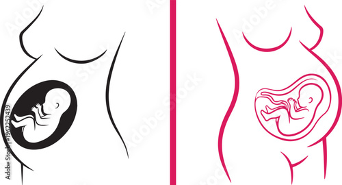 Line art vector of a pregnant woman's silhouette showing a fetus in the womb. Features black and pink outline versions, ideal for maternity, prenatal care, and healthcare themes.