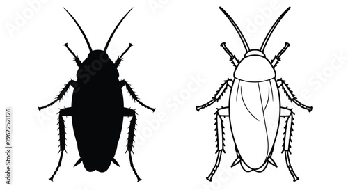 Two contrasting views of a cockroach solid black and white outline