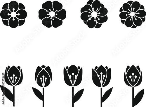 Four black cherry blossom and four black tulip on white background flower floral
