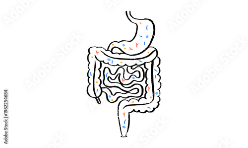Gut Brain Connection