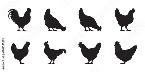 Hen silhouettes vector set. Chicken farm illustration. hen or chicken, rooster and chicks silhouette set. hen, rooster and chicks isolated farm animal silhouette icon vector collection.