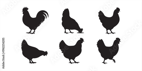 Hen silhouettes vector set. Chicken farm illustration. hen or chicken, rooster and chicks silhouette set. hen, rooster and chicks isolated farm animal silhouette icon vector collection.