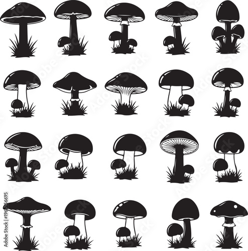 Mushroom and toadstool collection - vector silhouette