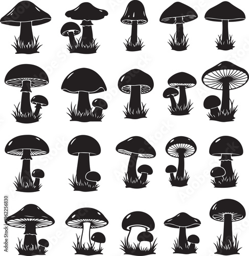 Mushroom and toadstool collection - vector silhouette