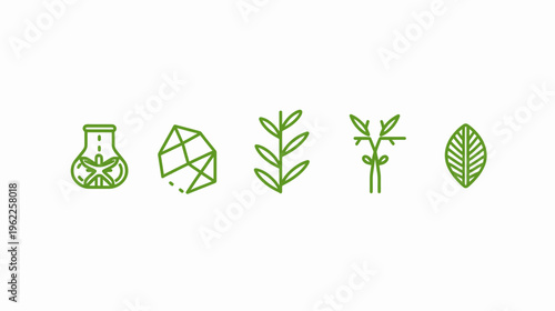 Green-outlined illustrations of natural science and botany elements