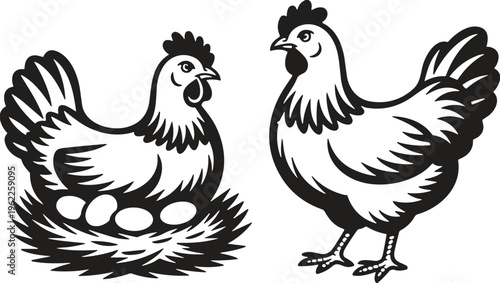 Hand drawn chicken hen sitting on nest with eggs and standing rooster poultry farm animal vector illustration isolated on white background silhouette