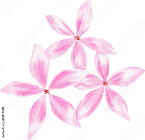 Watercolor Pink Flower