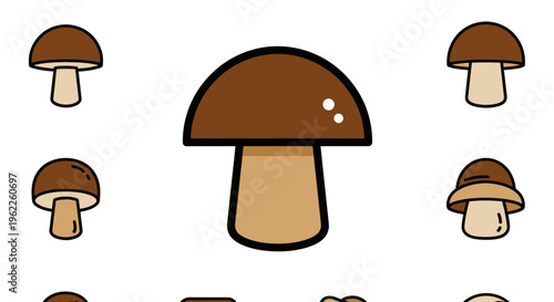Illustrated depiction of various mushroom species in a minimalist and clean aesthetic