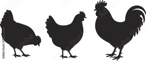 Farm animal chicken and rooster silhouettes set, poultry vector for rustic country farm design