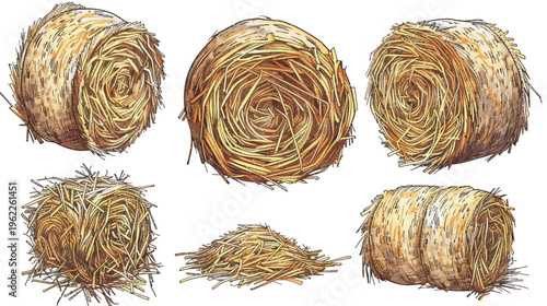 Artistic rendering of various hay bales, including circular rolls and a loose pile, in earthy hues