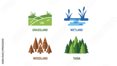 Illustrations of four distinct types of terrestrial biomes