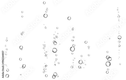 Oxygen air bubbles  flow  in water on white  background.