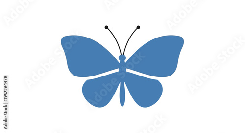 Blue butterfly with open wings.