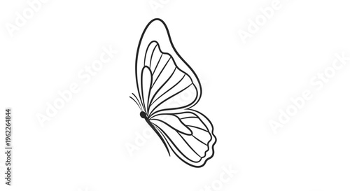 Butterfly Insect Wing Animal Black.